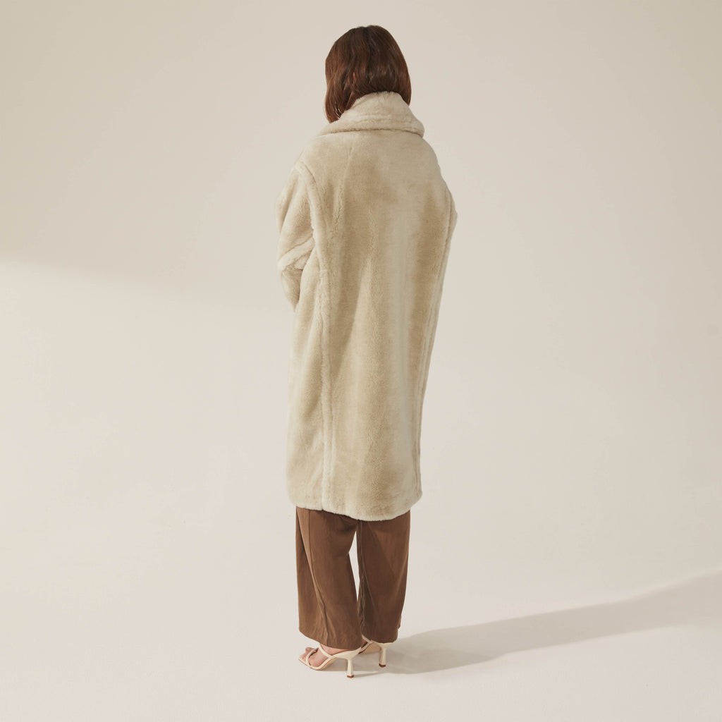 camel-1.jpg