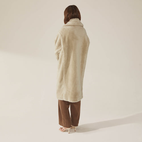 camel-1.jpg